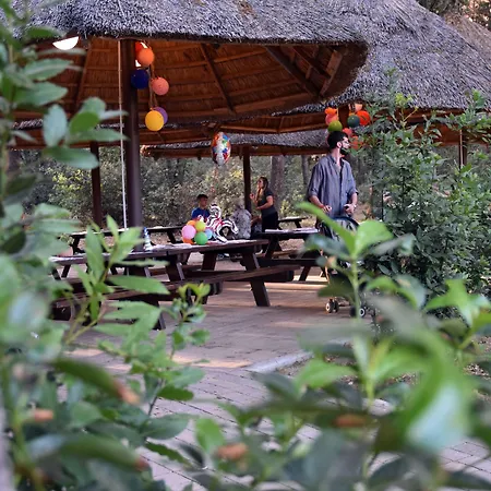 リゾート Canado Family マリーナ・ディ・カスタニェート・カルドゥッチ